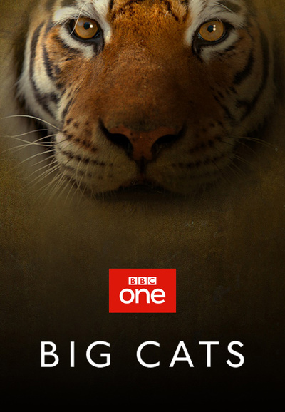 Big Cats - Season 1 [94381] (A1772455822) [[TV Programmes]] --Plex--
